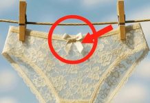 Little Details on Women’s Underwear Everyone Notices but Few Understand Little Details on Women’s Underwear Everyone Notices but Few Understand - featured image