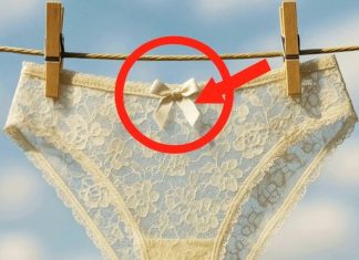 Little Details on Women’s Underwear Everyone Notices but Few Understand Little Details on Women’s Underwear Everyone Notices but Few Understand - featured image