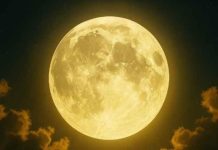 A windfall of money for these 5 Zodiac Signs thanks to the energy of the full moon… A windfall of money for these 5 Zodiac Signs thanks to the energy of the full moon… - featured image