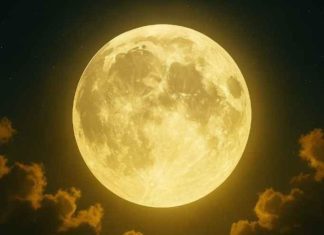 A windfall of money for these 5 Zodiac Signs thanks to the energy of the full moon… A windfall of money for these 5 Zodiac Signs thanks to the energy of the full moon… - featured image