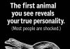 What the First Animal You Notice May Say About Your Personality What the First Animal You Notice May Say About Your Personality - featured image