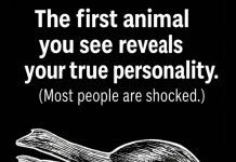 What the First Animal You Notice May Say About Your Personality What the First Animal You Notice May Say About Your Personality - featured image