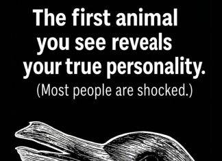 What the First Animal You Notice May Say About Your Personality What the First Animal You Notice May Say About Your Personality - featured image