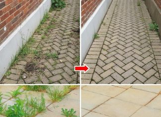 How to Eliminate Weeds Naturally and Forever How to Eliminate Weeds Naturally and Forever - featured image