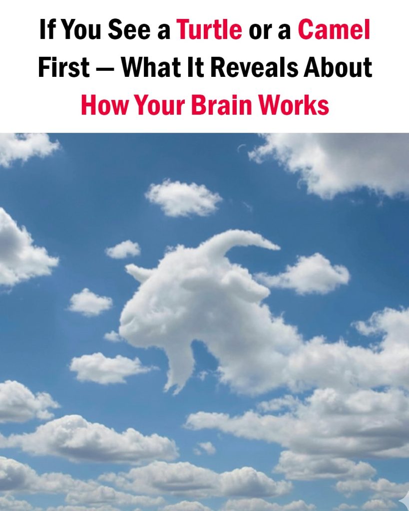 If You See a Turtle or a Camel First — What It Reveals About How Your Brain Works - featured image If You See a Turtle or a Camel First — What It Reveals About How Your Brain Works - featured image
