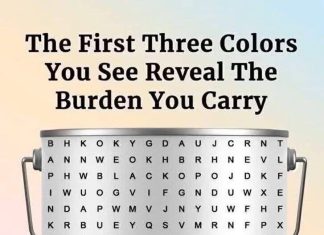 The Colors You Love, the Emotions You Carry: What Your Favorite Hues Reveal About Your Inner World The Colors You Love, the Emotions You Carry: What Your Favorite Hues Reveal About Your Inner World - featured image