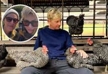 A Look Inside Ellen DeGeneres’ Expansive Home in the English Countryside – Photo A Look Inside Ellen DeGeneres’ Expansive Home in the English Countryside – Photo - featured image