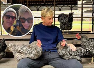 A Look Inside Ellen DeGeneres’ Expansive Home in the English Countryside – Photo A Look Inside Ellen DeGeneres’ Expansive Home in the English Countryside – Photo - featured image