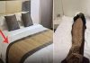The explanation behind hotel beds always having blankets The explanation behind hotel beds always having blankets - featured image