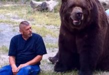 “Jimmy the Bear — A Kind-Hearted Giant Who Loves Everyone” “Jimmy the Bear — A Kind-Hearted Giant Who Loves Everyone” - featured image