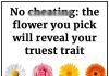 Your Flower Choice Uncovers Your Deepest Trait Your Flower Choice Uncovers Your Deepest Trait - featured image