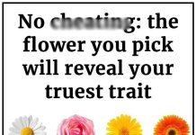 Your Flower Choice Uncovers Your Deepest Trait Your Flower Choice Uncovers Your Deepest Trait - featured image
