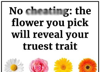 Your Flower Choice Uncovers Your Deepest Trait Your Flower Choice Uncovers Your Deepest Trait - featured image
