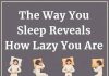 The Way You Sleep Reveals How Lazy You Are The Way You Sleep Reveals How Lazy You Are - featured image