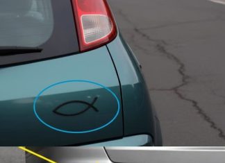 What the Small Fish Symbol on Some Cars Really Means What the Small Fish Symbol on Some Cars Really Means - featured image