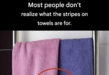 Those Stripes on Towels Have a Real Use… That You Might Not Have Known About Those Stripes on Towels Have a Real Use… That You Might Not Have Known About - featured image