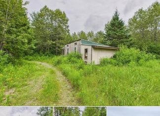 Secluded Off-Grid Woodland Retreat with Ponds and Wildlife in Northern Maine Secluded Off-Grid Woodland Retreat with Ponds and Wildlife in Northern Maine - featured image