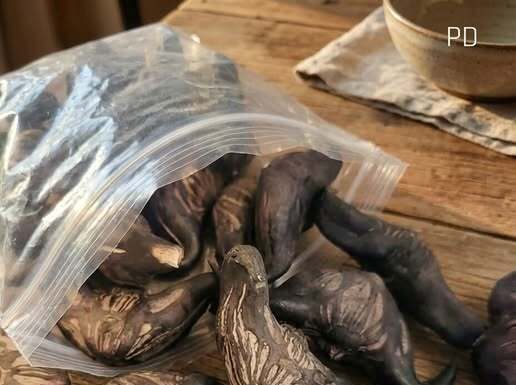 5 Warning Signs a Wild Forest Root May Not Be Safe to Eat 5 Warning Signs a Wild Forest Root May Not Be Safe to Eat - featured image