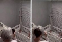 I Hired a Sweet 60-Year-Old Babysitter to Watch My Twins – Then One Night the Nanny Cam Showed Me Who She Really Was I Hired a Sweet 60-Year-Old Babysitter to Watch My Twins – Then One Night the Nanny Cam Showed Me Who She Really Was - featured image