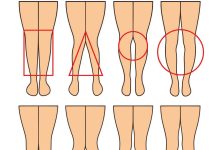 The Silent Language of Legs AnimalsLife - featured image