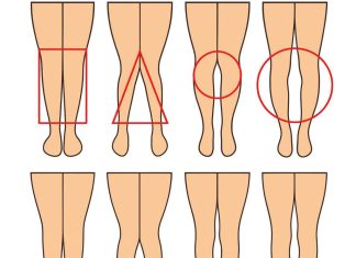 The Silent Language of Legs AnimalsLife - featured image