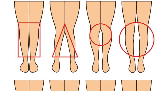 The Silent Language of Legs AnimalsLife - featured image