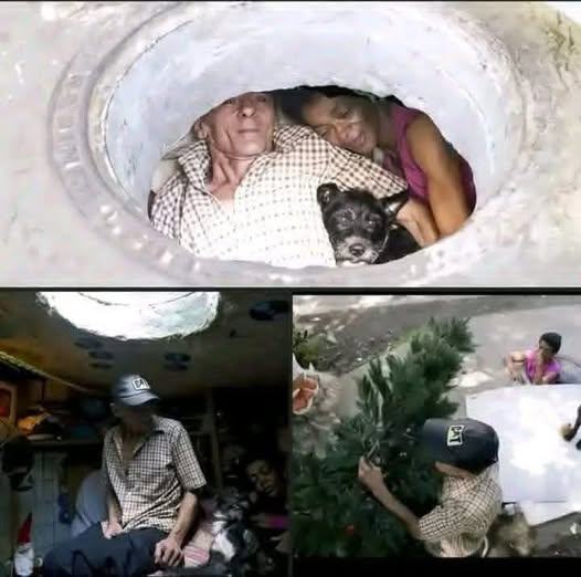 Breaking News: Family found in a… See more - featured image Breaking News: Family found in a… See more - featured image