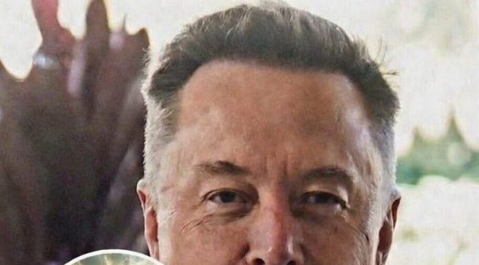 Elon Musk’s Remark About Jesus Fuels Speculation About What’s Next Elon Musk’s Remark About Jesus Fuels Speculation About What’s Next - featured image