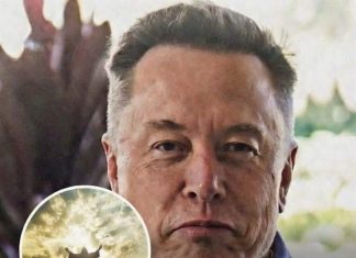 Elon Musk’s Remark About Jesus Fuels Speculation About What’s Next Elon Musk’s Remark About Jesus Fuels Speculation About What’s Next - featured image