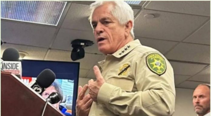 In a significant breakthrough, Arizona law enforcement offic… In a significant breakthrough, Arizona law enforcement offic… - featured image