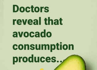 Doctors Reveal That Eating Avocados Causes Your Brain Doctors Reveal That Eating Avocados Causes Your Brain - featured image