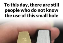 What is That Little Hole At The Bottom of a Padlock For? What is That Little Hole At The Bottom of a Padlock For? - featured image