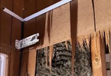 The constant rattling in our wall drove us crazy — then breaking through revealed a shocking secret. The constant rattling in our wall drove us crazy — then breaking through revealed a shocking secret. - featured image