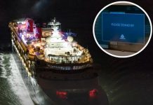 Why Cruise Guests Were Told to Dim Lights and Draw Curtains — The Truth Surprised Everyone Why Cruise Guests Were Told to Dim Lights and Draw Curtains — The Truth Surprised Everyone - featured image