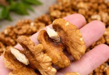 Walnuts Offer Steady, Well-Rounded Nutritional Support Walnuts Offer Steady, Well-Rounded Nutritional Support - featured image