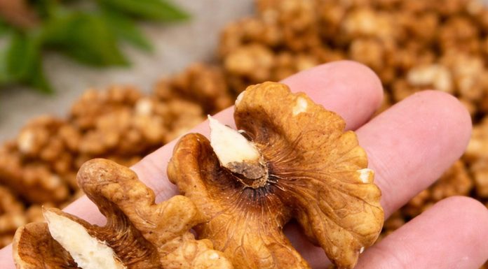 Walnuts Offer Steady, Well-Rounded Nutritional Support Walnuts Offer Steady, Well-Rounded Nutritional Support - featured image