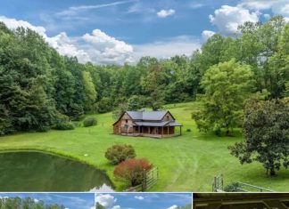 33 Acres with Renovated Cabin, Pond, and Workshop in Greeneville, Tennessee 33 Acres with Renovated Cabin, Pond, and Workshop in Greeneville, Tennessee - featured image