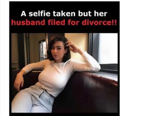 The Transformative Power of Slow Mornings AnimalsLife - featured image