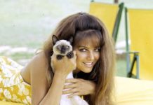 A ’60s Screen Legend: How She Looks at 86 A ’60s Screen Legend: How She Looks at 86 - featured image