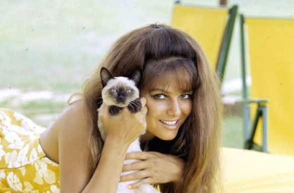 A ’60s Screen Legend: How She Looks at 86 A ’60s Screen Legend: How She Looks at 86 - featured image