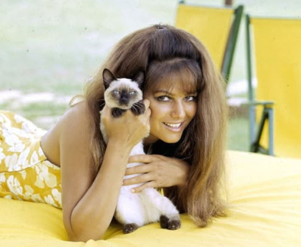 A ’60s Screen Legend: How She Looks at 86 - featured image A ’60s Screen Legend: How She Looks at 86 - featured image