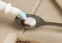 Get Rid of Pests Naturally—No Harsh Chemicals Required Get Rid of Pests Naturally—No Harsh Chemicals Required - featured image