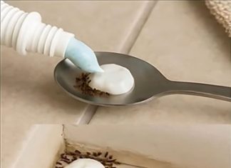 Get Rid of Pests Naturally—No Harsh Chemicals Required Get Rid of Pests Naturally—No Harsh Chemicals Required - featured image