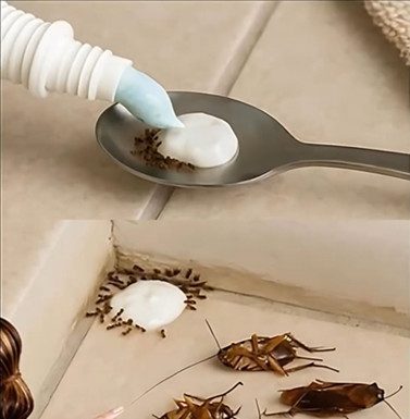 Get Rid of Pests Naturally—No Harsh Chemicals Required Get Rid of Pests Naturally—No Harsh Chemicals Required - featured image