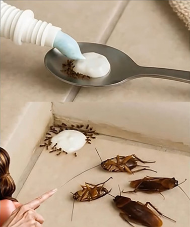 Get Rid of Pests Naturally—No Harsh Chemicals Required - featured image Get Rid of Pests Naturally—No Harsh Chemicals Required - featured image