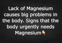 Magnesium Deficiency: Signs to Watch For and Natural Ways to Replenish It Magnesium Deficiency: Signs to Watch For and Natural Ways to Replenish It - featured image
