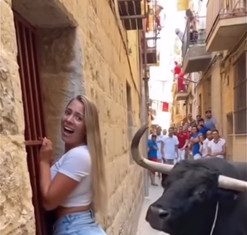 A Tourist Comes Face to Face With a Bull — What Happens Next Is Unusual A Tourist Comes Face to Face With a Bull — What Happens Next Is Unusual - featured image