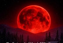 Tarot horoscope for March 2, 2026: this reading under Mercury retrograde can turn your day upside down, sign by sign Tarot horoscope for March 2, 2026: this reading under Mercury retrograde can turn your day upside down, sign by sign - featured image