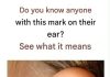 The Ear Hole Mystery: Here Is What That Tiny Hole Above Your Ear Actually Means The Ear Hole Mystery: Here Is What That Tiny Hole Above Your Ear Actually Means - featured image