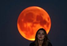 Lunar Eclipse on March 3, 2026: These 4 Zodiac Signs Are About to Experience a Success That Changes Everything Lunar Eclipse on March 3, 2026: These 4 Zodiac Signs Are About to Experience a Success That Changes Everything - featured image